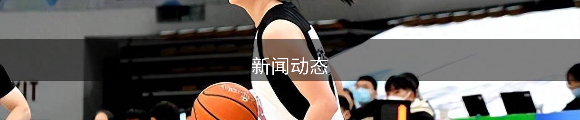新闻动态